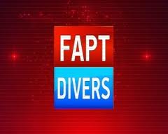 fapt divers (/)